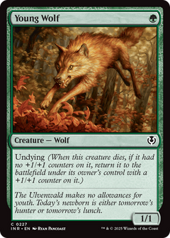 Young Wolf [Innistrad Remastered]-1