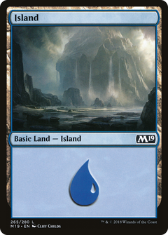 Island (265) [Core Set 2019]-1