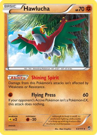 Hawlucha (63/111) [XY: Furious Fists]-1