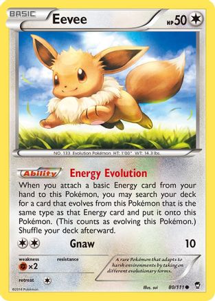 Eevee (80/111) [XY: Furious Fists]-1