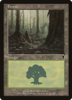 Forest (348) [Odyssey]-1