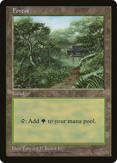 Forest (11) [Asia Pacific Land Program]-1