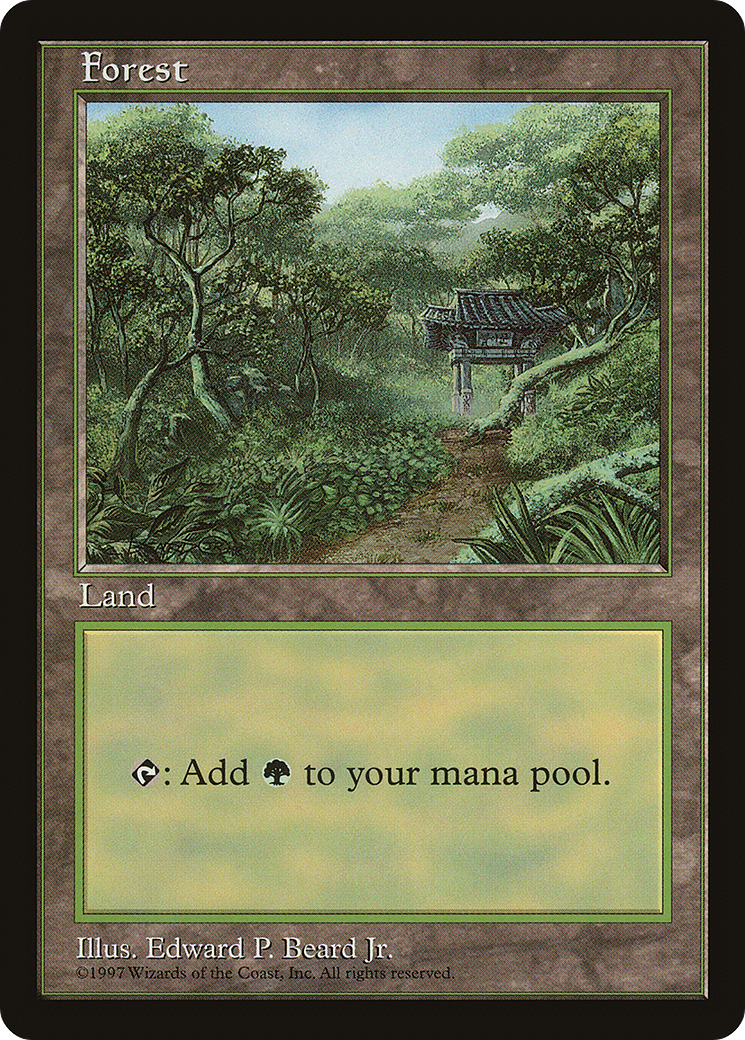 Forest (11) [Asia Pacific Land Program]-1