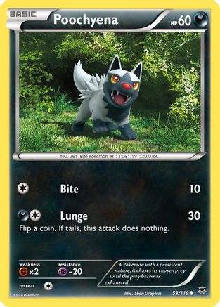 Poochyena (53/119) [XY: Phantom Forces]-1