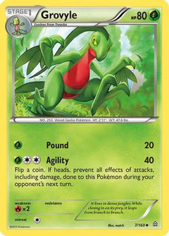 Grovyle (7/160) [XY: Primal Clash]-1