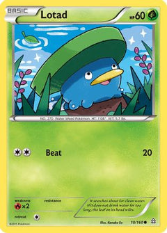 Lotad (10/160) [XY: Primal Clash]-1