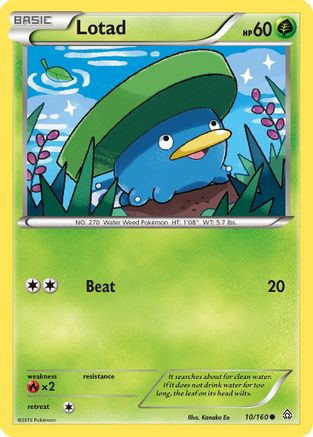 Lotad (10/160) [XY: Primal Clash]-1