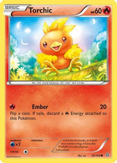 Torchic (25/160) [XY: Primal Clash]-1