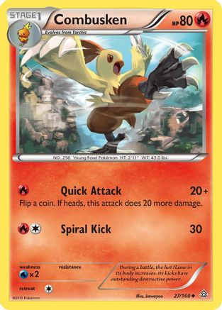 Combusken (27/160) [XY: Primal Clash]-1