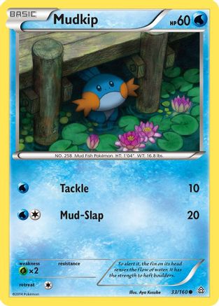 Mudkip (33/160) [XY: Primal Clash]-1