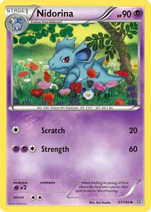 Nidorina (67/160) [XY: Primal Clash]-1