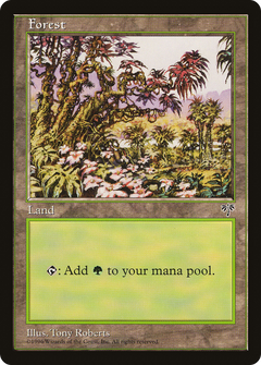 Forest (Open Flowers Bottom Center) [Mirage]-1