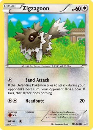 Zigzagoon (111/160) [XY: Primal Clash]-1