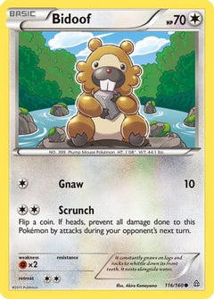 Bidoof (116/160) [XY: Primal Clash]-1