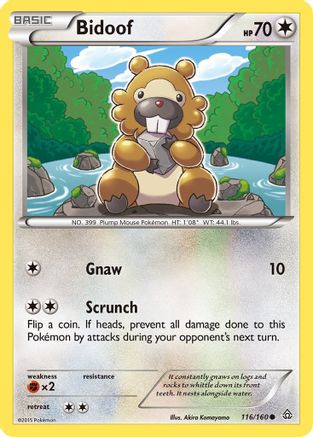 Bidoof (116/160) [XY: Primal Clash]-1