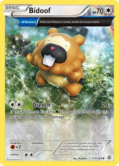 Bidoof (117/160) [XY: Primal Clash]-1