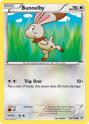 Bunnelby (120/160) [XY: Primal Clash]-1