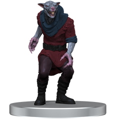 D&D Icons of the Realms Adventure in a Box Wererat Den