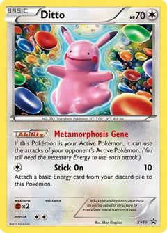 Ditto (XY40) [XY: Black Star Promos]-1