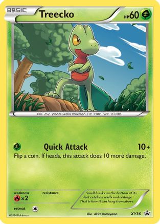 Treecko (XY36) [XY: Black Star Promos]-1