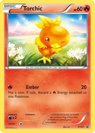 Torchic (XY37) [XY: Black Star Promos]-1