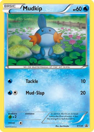 Mudkip (XY38) [XY: Black Star Promos]-1