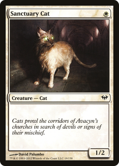 Sanctuary Cat [Dark Ascension]-1