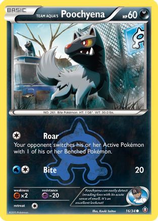 Team Aqua's Poochyena (16/34) [XY: Double Crisis]-1