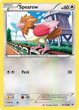 Spearow (65/108) [XY: Roaring Skies]-1