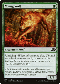Young Wolf [Jumpstart 2022]-1