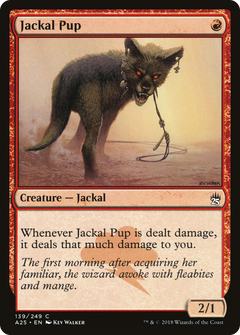 Jackal Pup [Masters 25]-1