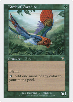 Birds of Paradise [Seventh Edition]-1