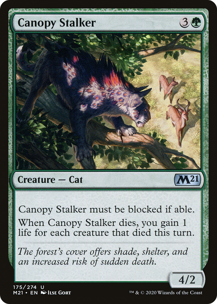 Canopy Stalker [Core Set 2021]-1