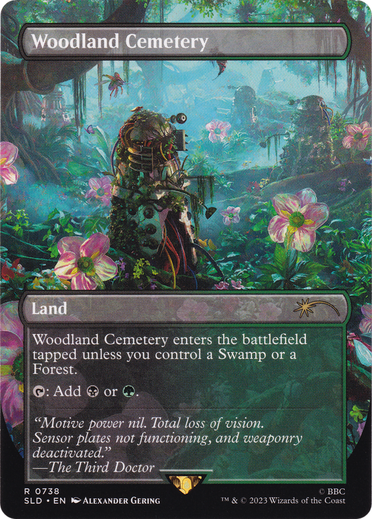 Woodland Cemetery (SLD-738) - Secret Lair Drop (Borderless)-1