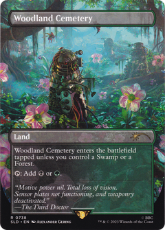 Woodland Cemetery (SLD-738) - Secret Lair Drop (Borderless) Foil-1