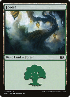 Forest (276) [The Brothers' War]-1