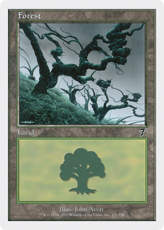 Forest (331) [Seventh Edition]-1