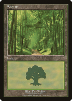Forest (6) [European Land Program]-1