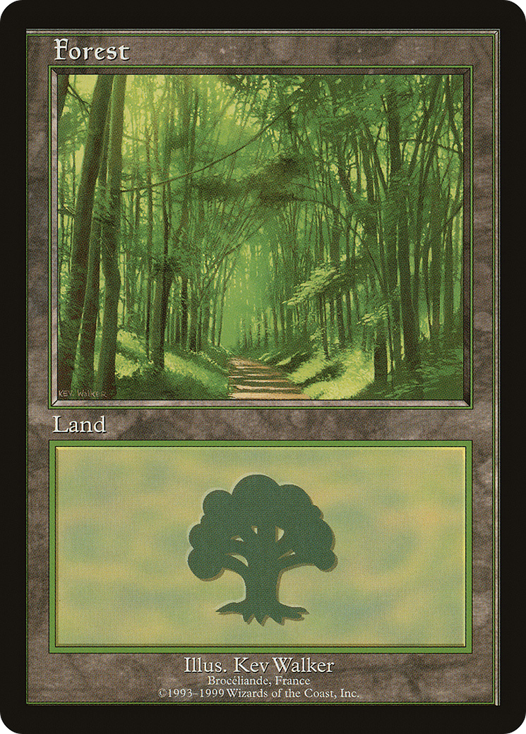 Forest (6) [European Land Program]-1