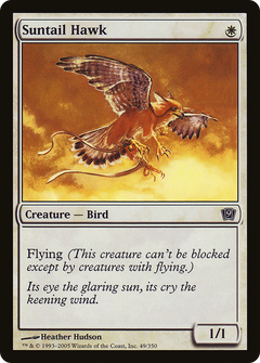 Suntail Hawk [Ninth Edition]-1