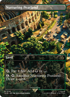 Nurturing Peatland (Borderless) [Assassin's Creed]-1