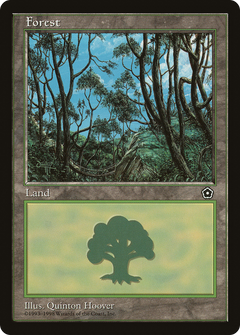 Forest (Signature on Left) [Portal Second Age]-1