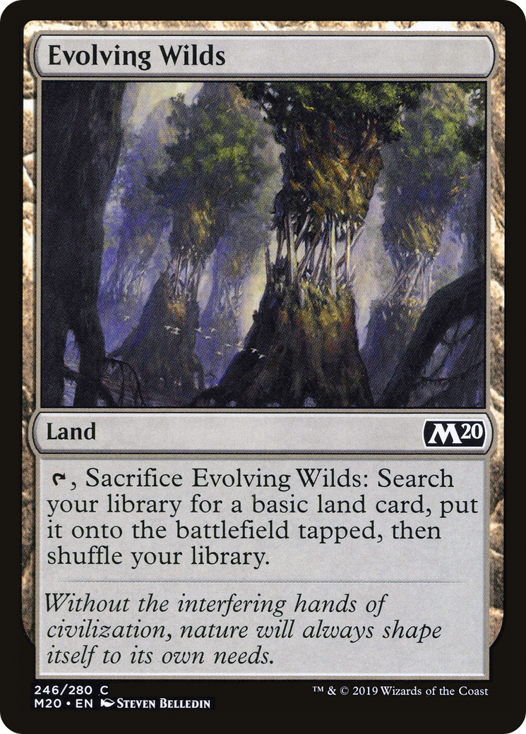 Evolving Wilds [Core Set 2020]-1