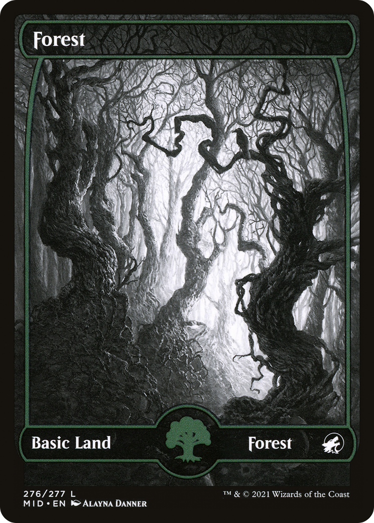 Forest (276) [Innistrad: Midnight Hunt]-1