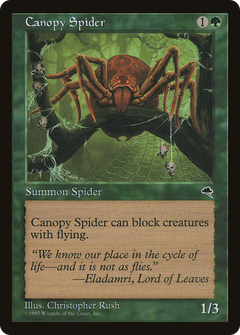 Canopy Spider [Tempest]-1