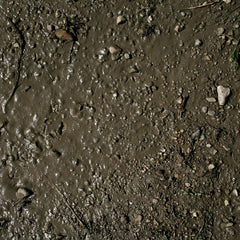 AK Interactive - Dioramas - Terrains Wet Ground 250ml