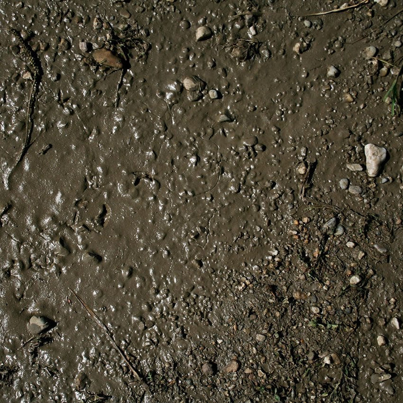 AK Interactive - Dioramas - Terrains Wet Ground 250ml