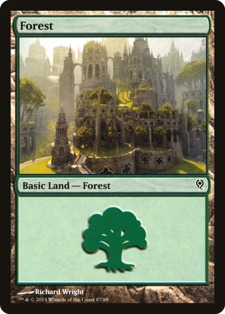 Forest (87) [Duel Decks: Jace vs. Vraska]-1
