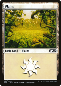 Plains (262) [Core Set 2019]-1