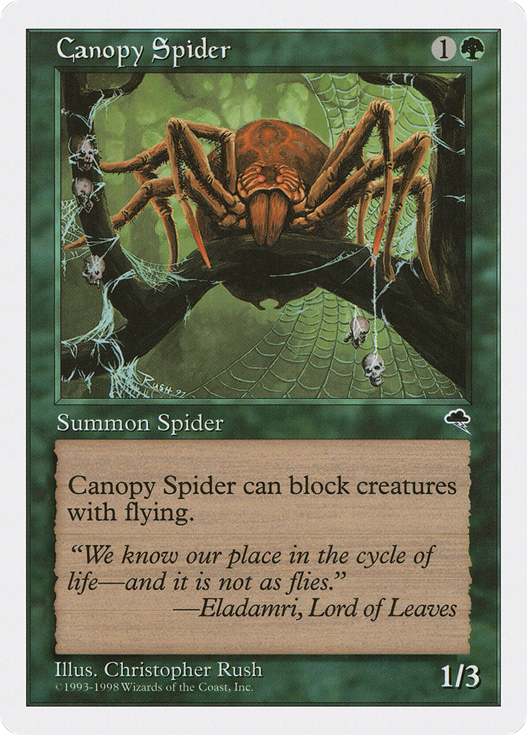 Canopy Spider [Anthologies]-1